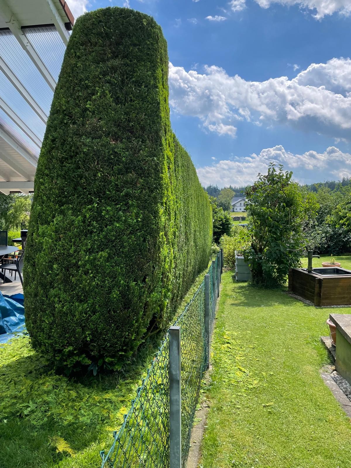 Professionell geschnittene Hecke