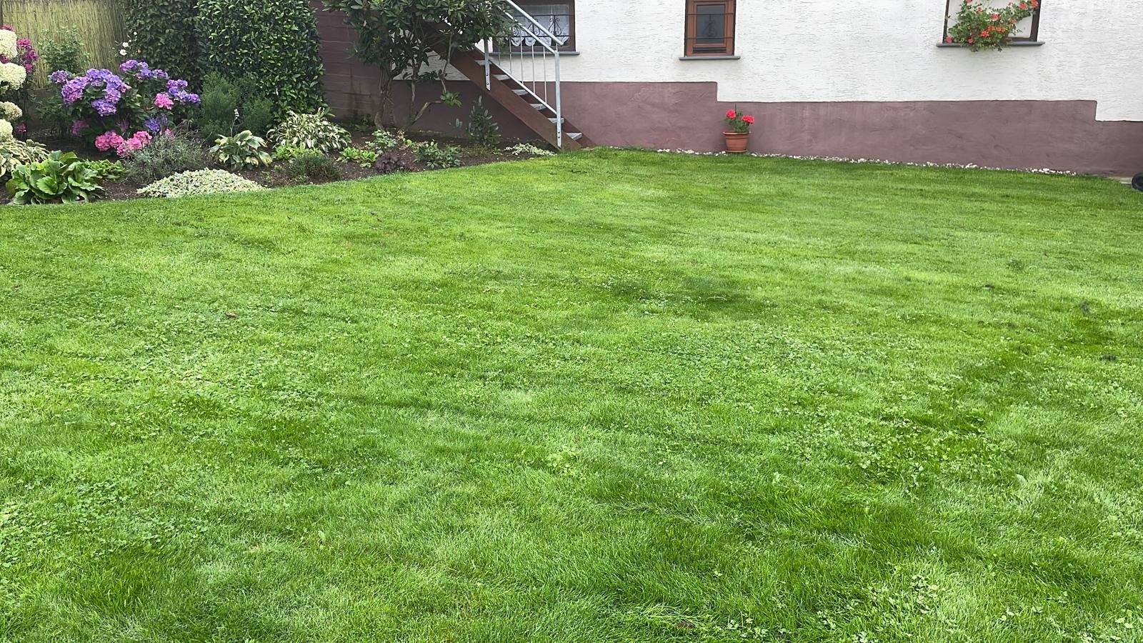 Gepflegte Rasenfläche im Westerwald